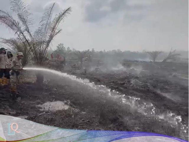 api di area hutan produksi