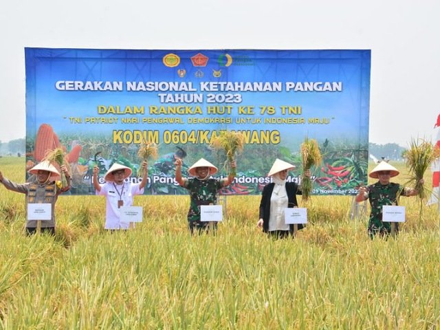 Gerakan Nasional Ketahanan Pangan , Kegiatan Panen Raya