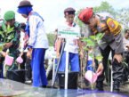 bibit pohon mangrove