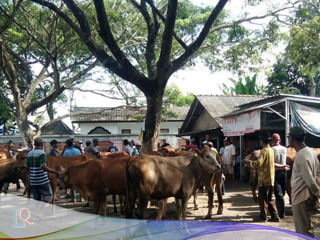 pasar hewan