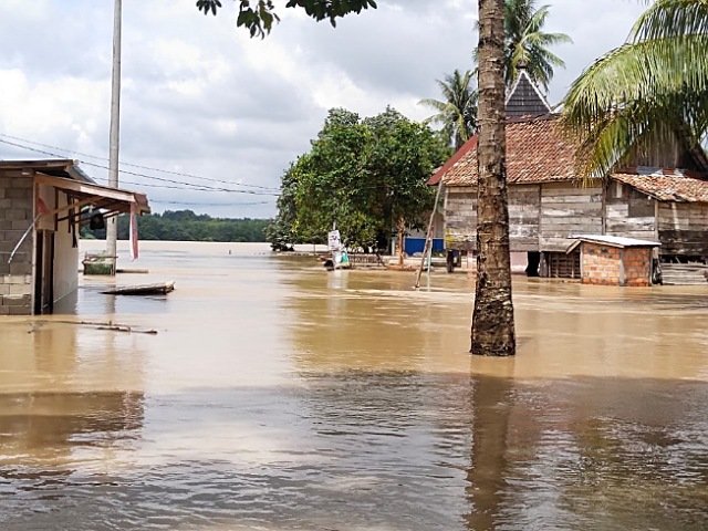 Desa Tanjung Kecamatan Belimbing Kabupaten Muara Enim Lumpuh Akibat Banjir, Kades Meminta Pemerintah Bergerak Cepat Berikan Bantuan