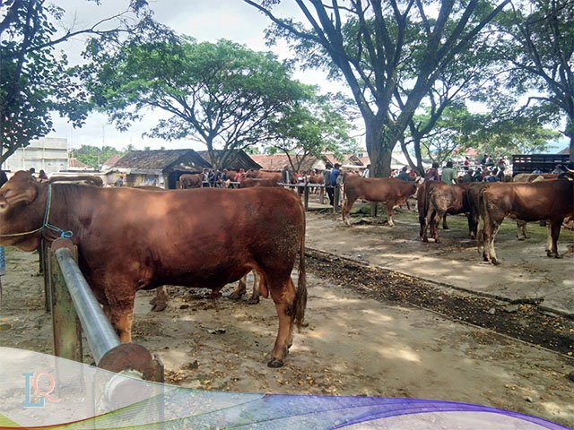 Pasar Hewan Desa Karangharjo