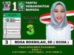 Caleg DPRD Kota Palembang