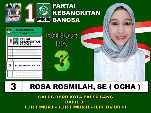 Caleg DPRD Kota Palembang
