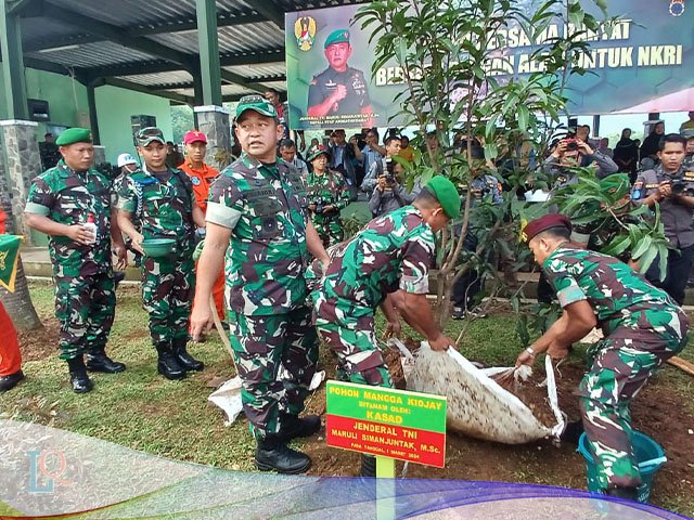 bibit pohon tanaman buah