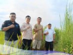 penghasil jagung terbesar