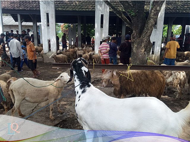 pasar hewan