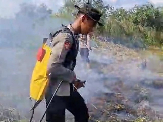 Dibantu Water Bombing, Tim Gabungan Penanggulangan Karhutla Berjibaku Padamkan Api di Indralaya Utara