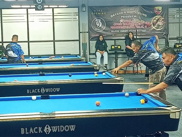 Tournament Billiard Nine Ball