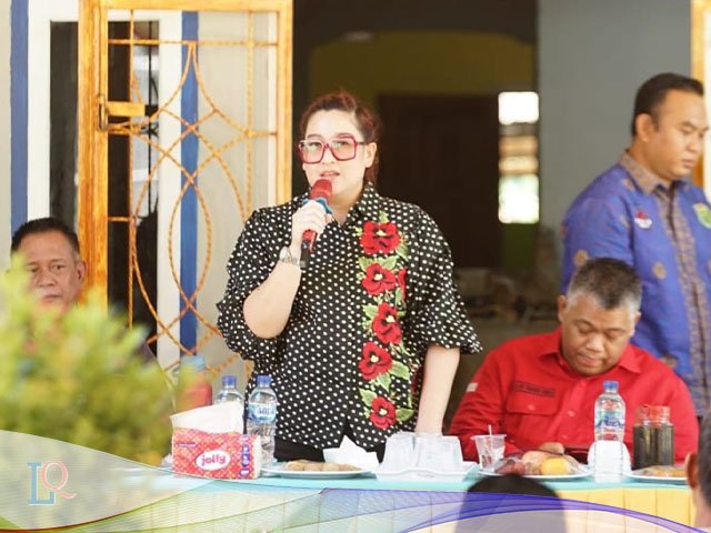 Lahan Petani Lubai Ulu