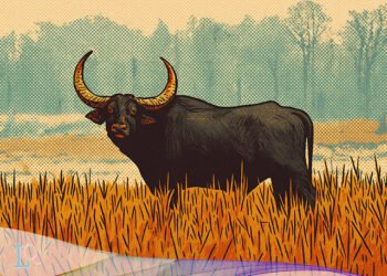 Bubalus bubalis, kerbau