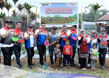 Hari Listrik Nasional ke-80