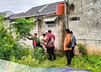 Kasus Penipuan Tanah