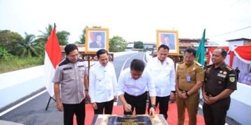 Jembatan Layang Lettu Karim