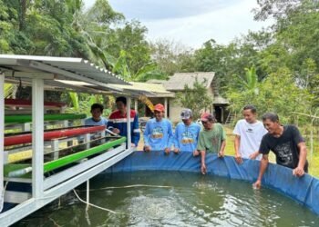 Dengan Inovasi Sistem IMTA, Pokdakan di Sungai Gerong Berhasil Efisiensi Pakan dan Turunkan Limbah Budidaya, Limbah Menurun Drastis
