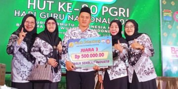 Kepala Sekolah SDN 244 Palembang