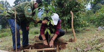 Tanam Pohon di Gambung