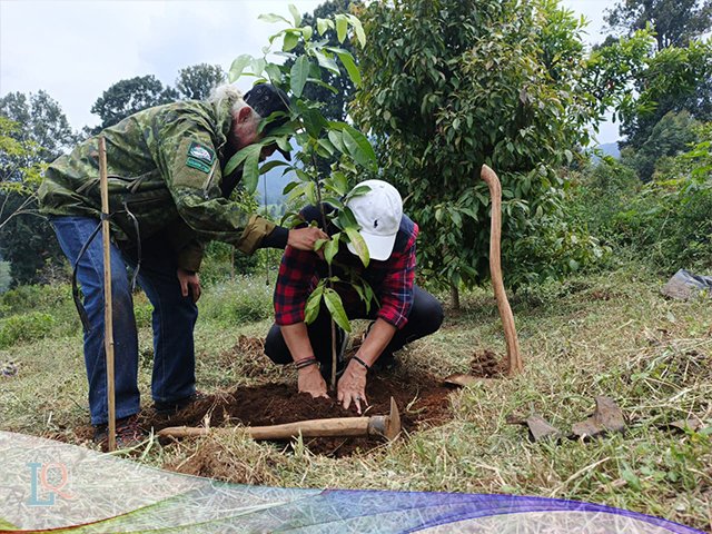 Tanam Pohon di Gambung