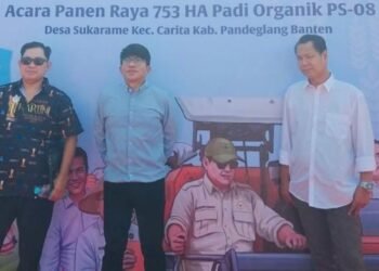 Yayasan Bhakti Bela Negara Gelar Panen Raya Padi Organik PS-08