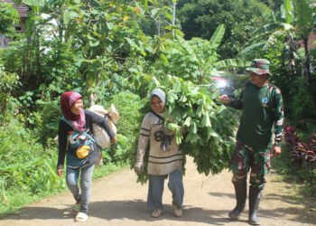 Ibu-Ibu Pencari Rumput