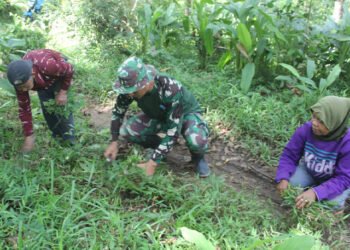 jalur pembangunan rabat beton