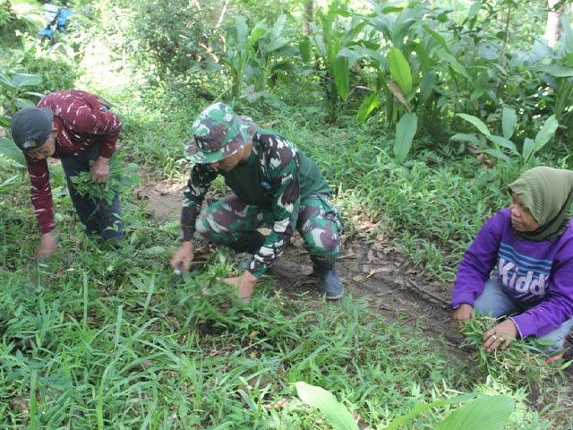 jalur pembangunan rabat beton
