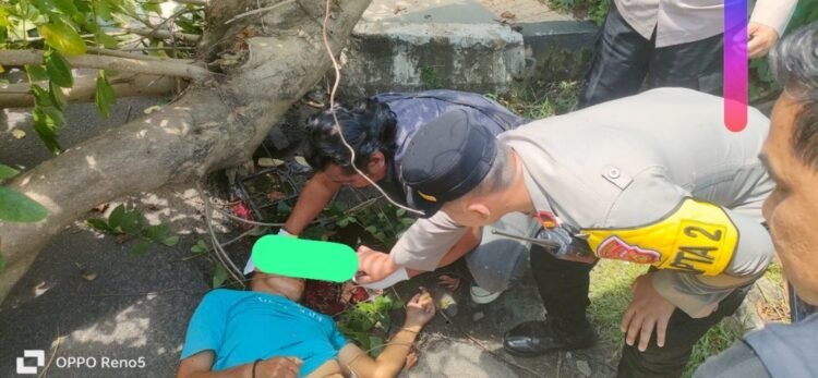 Tragedi Siang Hari di Jalan Kapten A Rivai Palembang, Pengendara Motor Meninggal Tertimpa Pohon