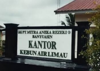 Lahan Sawit PT MAR Seluas 116 Hektar Diduga Tanpa HGU, Koalisi Mata Publik Desak Audit Total!