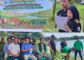 YBH Sumsel Berkeadilan Gagas Kampung Iklim di Palembang, Ajak Warga Peduli Lingkungan