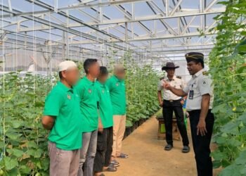 Program Pembinaan Berkelanjutan, Rutan Kelas I Palembang Lanjutkan Penanaman Melon Tahap Kedua