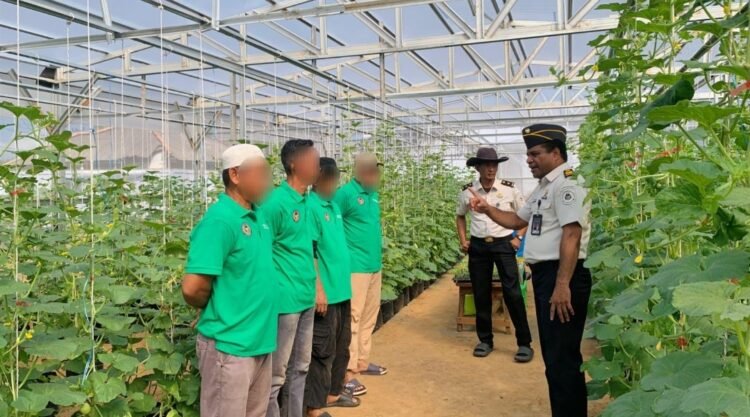 Program Pembinaan Berkelanjutan, Rutan Kelas I Palembang Lanjutkan Penanaman Melon Tahap Kedua