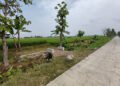 Bangun Rumah Impian