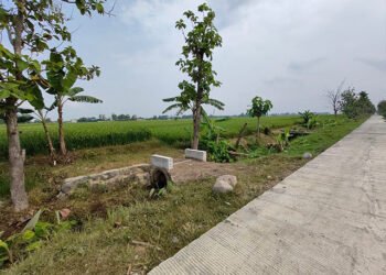 Bangun Rumah Impian