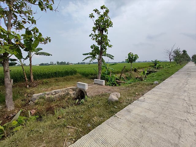 Bangun Rumah Impian