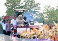 Panen Raya Jagung Serentak