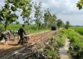 Pengecoran Jalan di Desa Puro