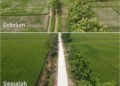 Petani Desa Puro