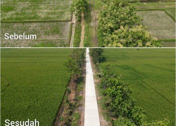 Petani Desa Puro