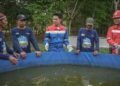 Upaya Pertamina Patra Niaga Kilang Plaju Jaga Warisan Sungai Musi Lewat Belida Musi Lestari