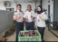 Pegawai dan Peserta Magang Rutan Kelas I Palembang Panen Terong dan Kangkung di Area Ketahanan Pangan