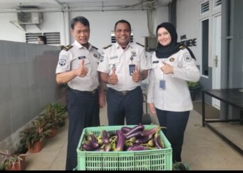 Pegawai dan Peserta Magang Rutan Kelas I Palembang Panen Terong dan Kangkung di Area Ketahanan Pangan