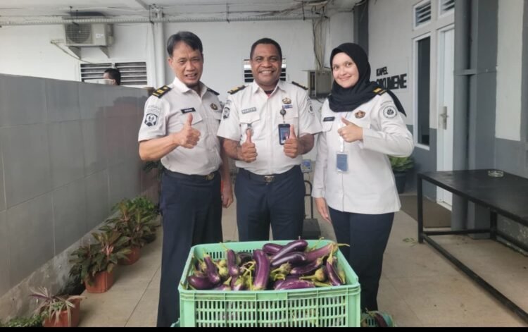 Pegawai dan Peserta Magang Rutan Kelas I Palembang Panen Terong dan Kangkung di Area Ketahanan Pangan
