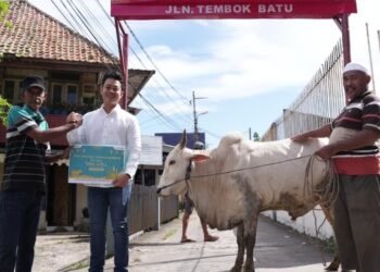 Bukan Sekadar Berbagi, Kilang Plaju Tebar Kebersamaan dan Kepedulian kepada Masyarakat Melalui Penyaluran Hewan Qurban