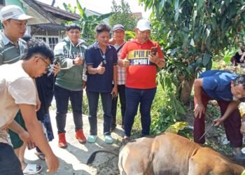 Forum Jurnalis Berbagi Gelar Pemotongan Hewan Kurban, Perkuat Kepedulian Sosial