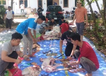 Pemuda ICMI Sumsel Sembelih 1 Sapi dan 2 Kambing, Daging Kurban Dibagikan ke Masyarakat