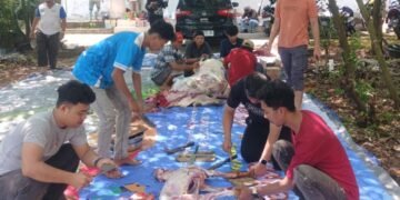 Pemuda ICMI Sumsel Sembelih 1 Sapi dan 2 Kambing, Daging Kurban Dibagikan ke Masyarakat