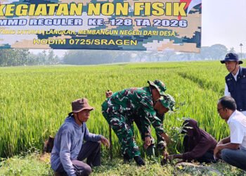 bibit pohon baru tertanam