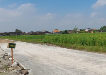 jalan desa