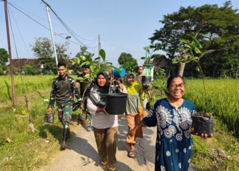 penanaman pohon di Dukuh Sidikan