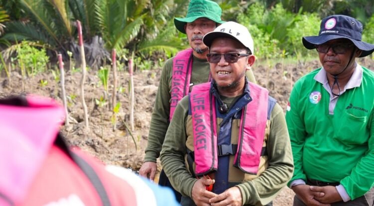Perkuat Komitmen ESG, Pertamina Patra Niaga Kilang Plaju bersama Project R&P Sumatera Tanam 7.500 Bibit Pelestarian Mangrove